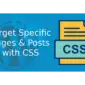 How to Target CSS in WordPress Banner image